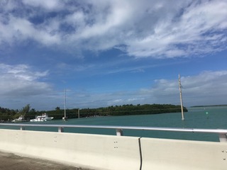 IMG_7338.JPG