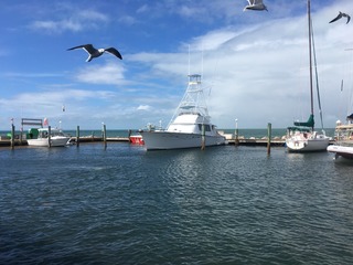 IMG_7353.JPG
