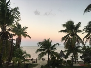 IMG_7550.JPG